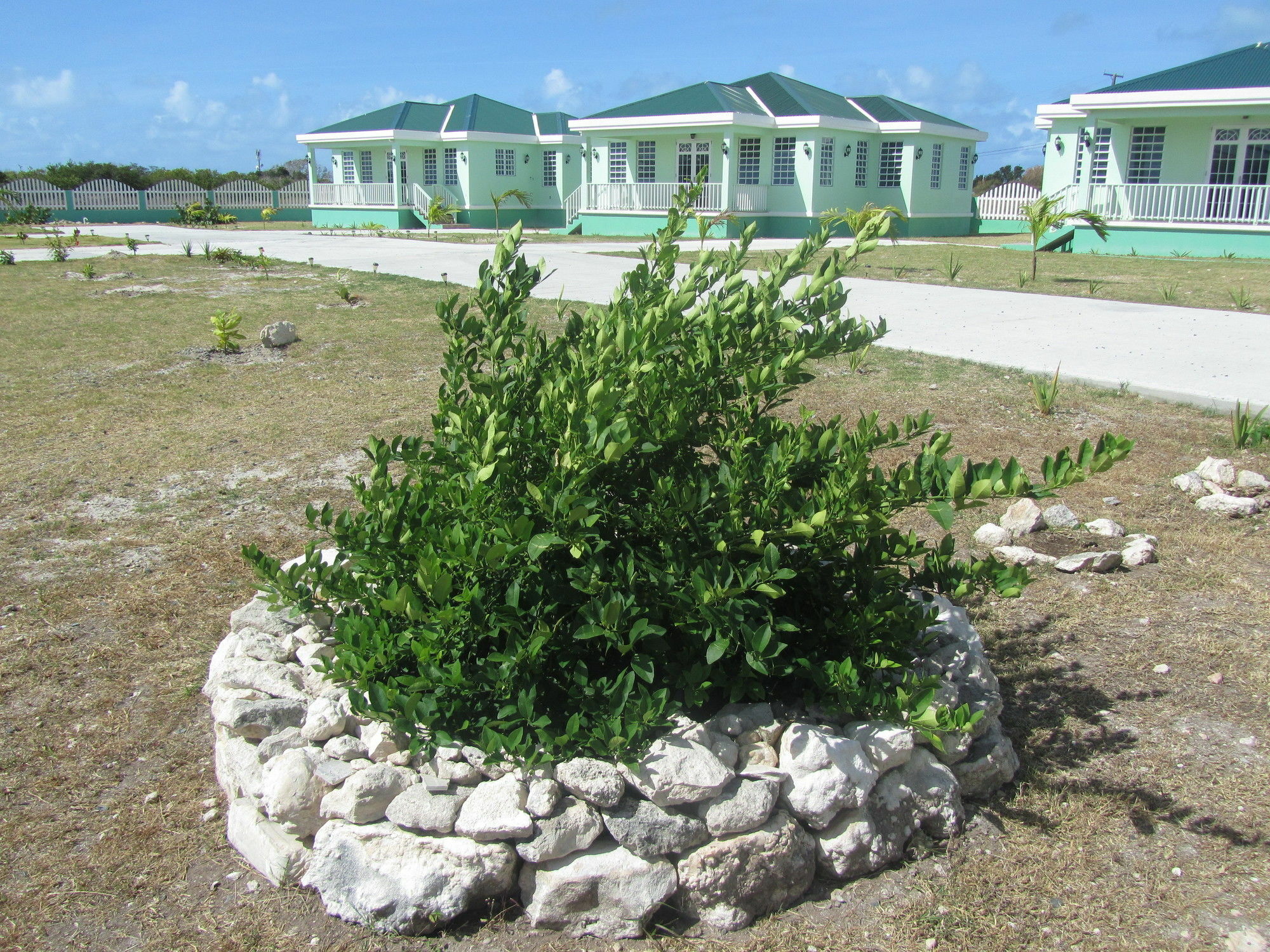 Sea Grape Villas The Settlement Kültér fotó